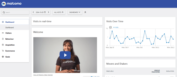 Screenshot of Matomo Analytics dashboard
